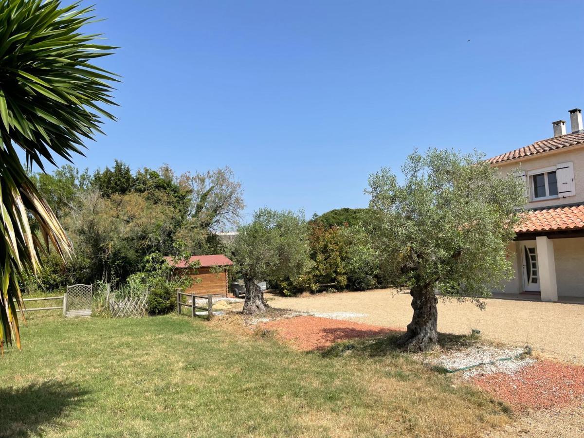 Studio 40M2 Avec Terrasse Le Mas De Lauriane Σαιντ-Μαρί-ντε-λα-Μερ Εξωτερικό φωτογραφία